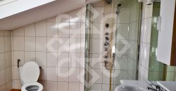 Apartament cu 4 camere la casa de inchiriat pe Sucevei