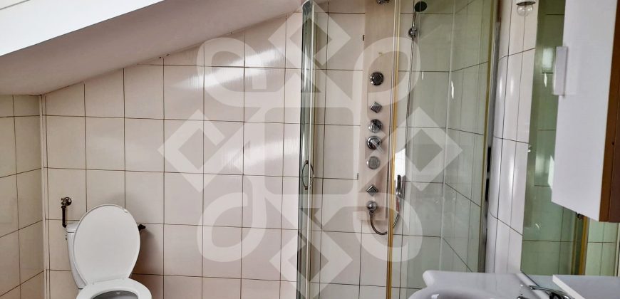 Apartament cu 4 camere la casa de inchiriat pe Sucevei