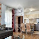 Apartament cu 2 camere de inchiriat in Prima Nufarul