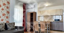 Apartament cu 2 camere de inchiriat in Prima Nufarul
