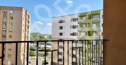 Apartament cu 2 camere de inchiriat in Prima Nufarul