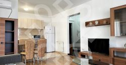 Apartament cu 2 camere de inchiriat in Prima Nufarul