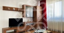 Apartament cu 2 camere de inchiriat in Prima Nufarul