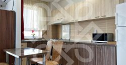 Apartament cu 2 camere de inchiriat in Prima Nufarul