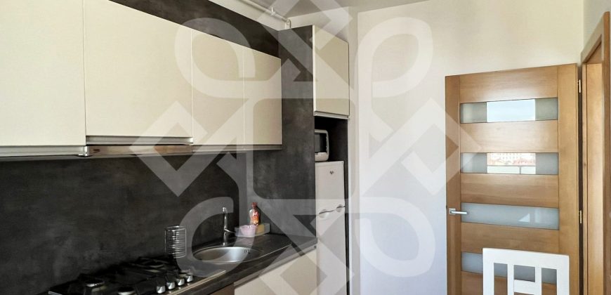 Apartament cu 2 camere de inchiriat in ARED