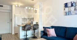 Apartament cu 2 camere de inchiriat, Prima Onestilor, Oradea