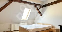 Apartament spatios cu 3 camere ultracentral in Oradea