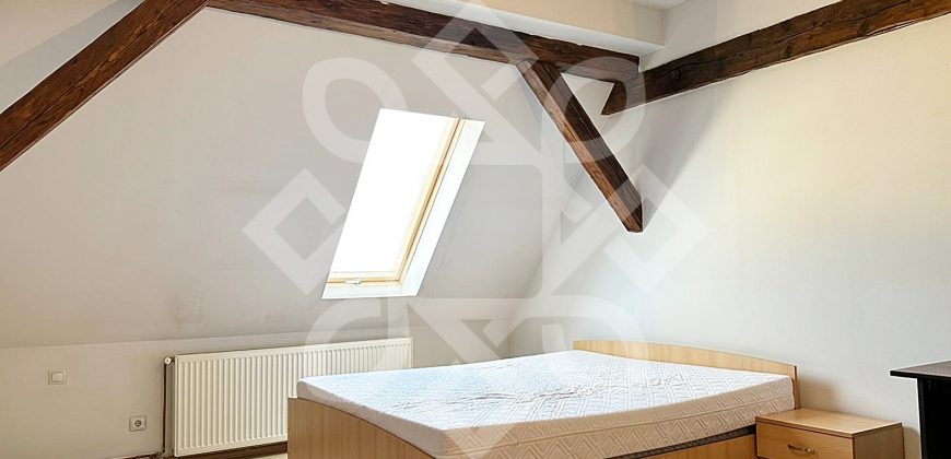 Apartament spatios cu 3 camere ultracentral in Oradea