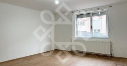 Casa pe nivel de vanzare, singur in curte, Velenta Oradea
