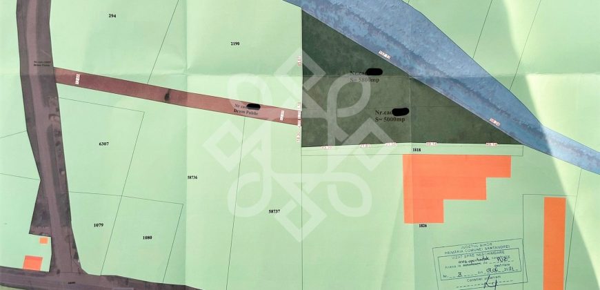 Teren intravilan 10800 mp de vanzare in Santandrei, Bihor