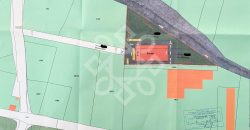 Teren intravilan 10800 mp de vanzare in Santandrei, Bihor