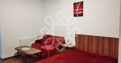 Apartament cu 1 camera de inchiriat in cartierul Rogerius
