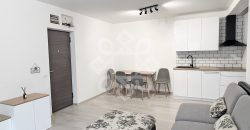 Apartament cu 2 camere de inchiriat in cartierul Nufarul