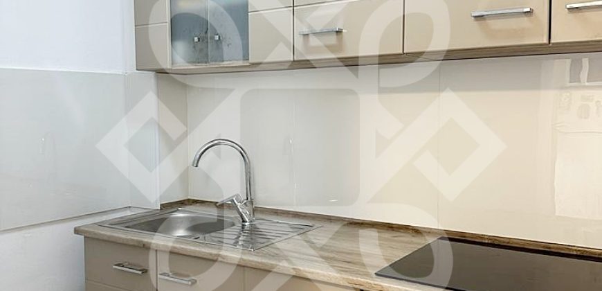 Garsoniera de inchiriat pe strada Aluminei, Rogerius