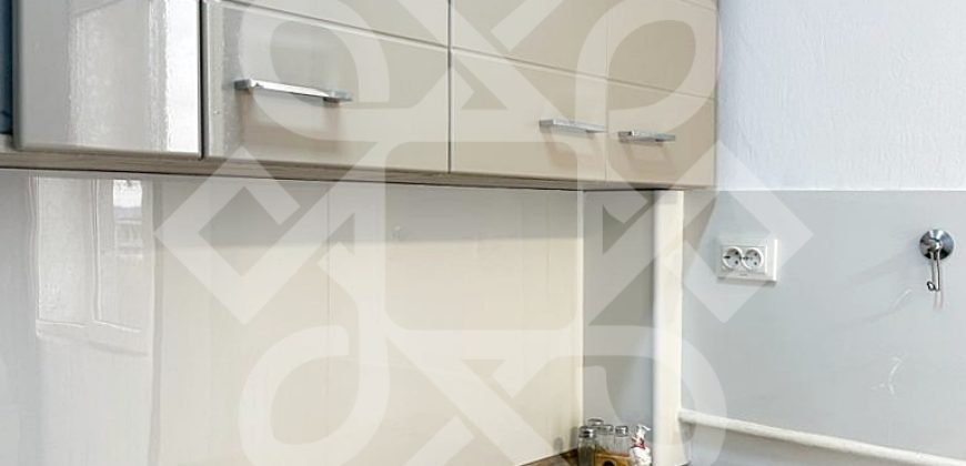 Garsoniera de inchiriat pe strada Aluminei, Rogerius