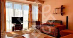 Apartament cu 1 camera in Prima Nufarul, Oradea