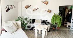 Apartament cu 2 camere de închiriat, în Cantemir