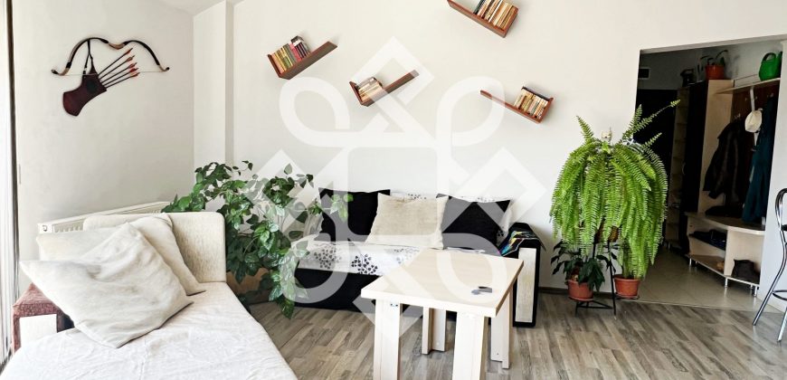 Apartament cu 2 camere de închiriat, în Cantemir