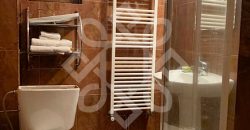 Pensiune turistica de vanzare in Arieseni