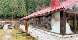 Pensiune turistica de vanzare in Arieseni