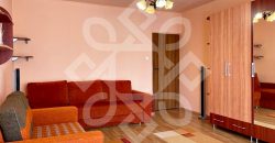 Apartament cu 1 camera in Prima Nufarul, Oradea