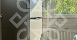 Apartament cu 1 camera de inchiriat, zona Decebal