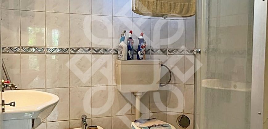 Casa cu teren de vanzare in Santaul Mare, Bihor