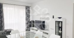 Apartament 3 camere de inchiriat cartier Prima Nufarul Oradea