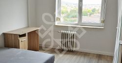 Apartament cu 4 camere de vanzare in Cantemir