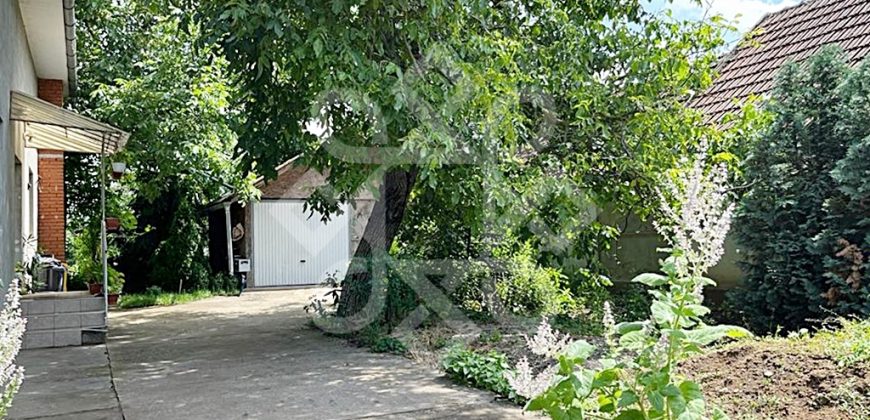 Casa cu teren de vanzare in Santaul Mare, Bihor