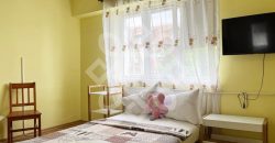 Apartament cu 1 camera de vanzare central in Sanmartin
