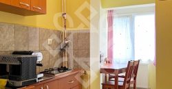 Apartament cu 1 camera de vanzare central in Sanmartin