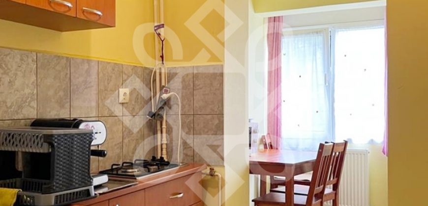 Apartament cu 1 camera de vanzare central in Sanmartin