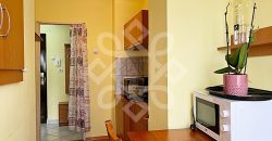 Apartament cu 1 camera de vanzare central in Sanmartin
