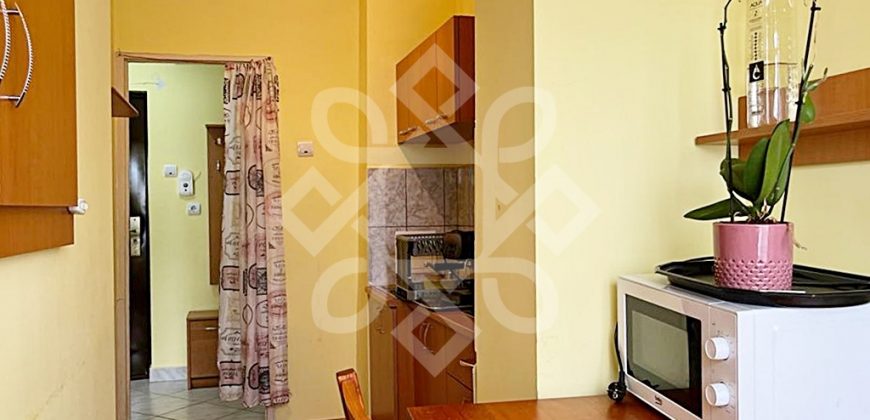 Apartament cu 1 camera de vanzare central in Sanmartin