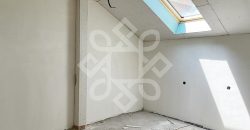 Casa noua cu 8 dormitoare de inchiriat in Paleu