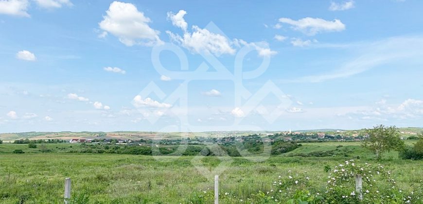 Casa noua cu 8 dormitoare de inchiriat in Paleu