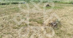 Teren intravilan de vanzare in Livada de Bihor