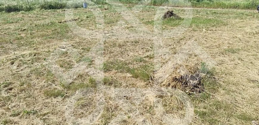 Teren intravilan de vanzare in Livada de Bihor