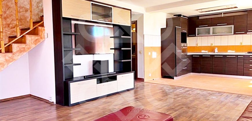 Casa cu 4 camere de inchiriat in Paleu