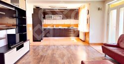 Casa cu 4 camere de inchiriat in Paleu
