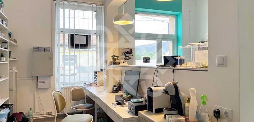 Casa cu spatiu comercial de vanzare in Salonta