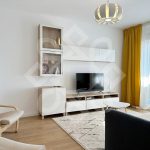 Apartament cu 2 camere de inchiriat in ARED