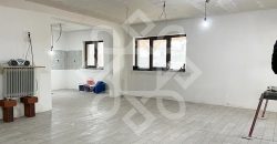 Casa noua cu 8 dormitoare de inchiriat in Paleu