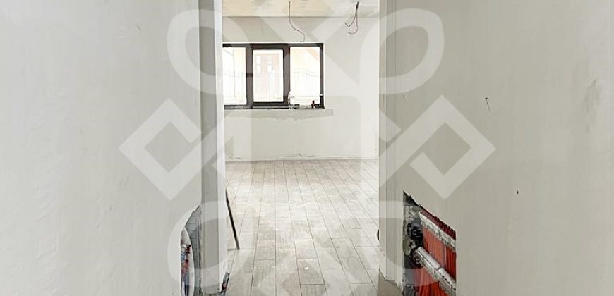 Casa noua cu 8 dormitoare de inchiriat in Paleu