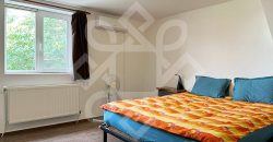 Apartament ultracentral la casa si curte proprie de inchiriat