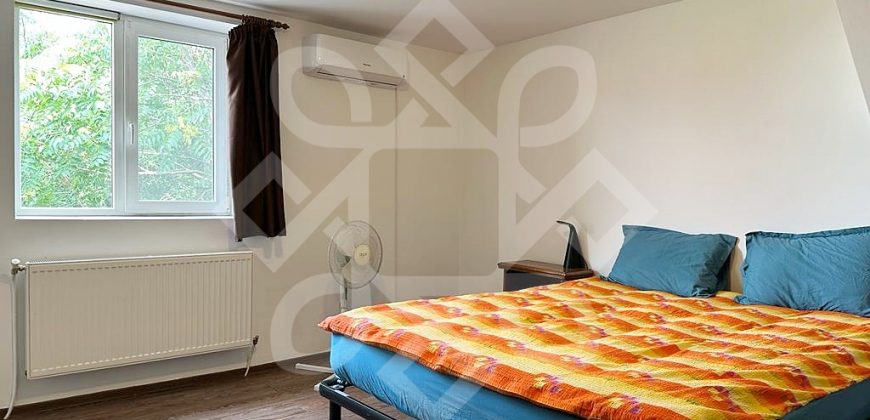 Apartament ultracentral la casa si curte proprie de inchiriat