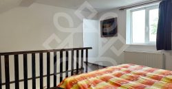 Apartament ultracentral la casa si curte proprie de inchiriat