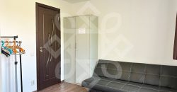 Apartament ultracentral la casa si curte proprie de inchiriat