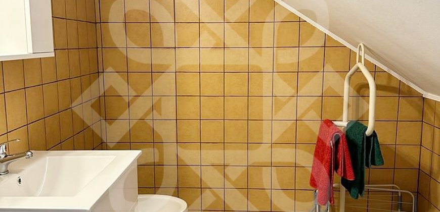 Apartament ultracentral la casa si curte proprie de inchiriat